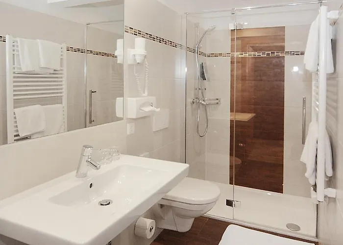 Goldener Adler لينتز